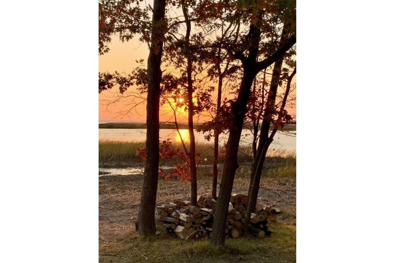 Lakeview & Wildlife Au Gres 外观 照片