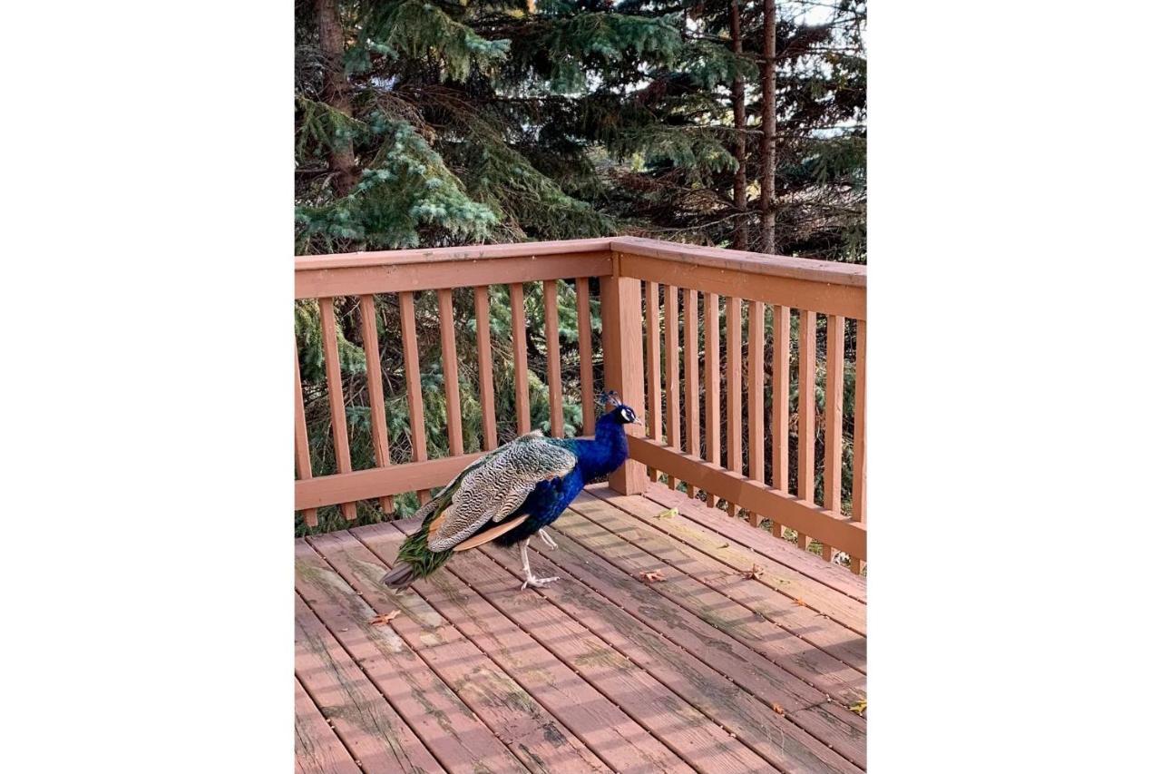 Lakeview & Wildlife Au Gres 外观 照片