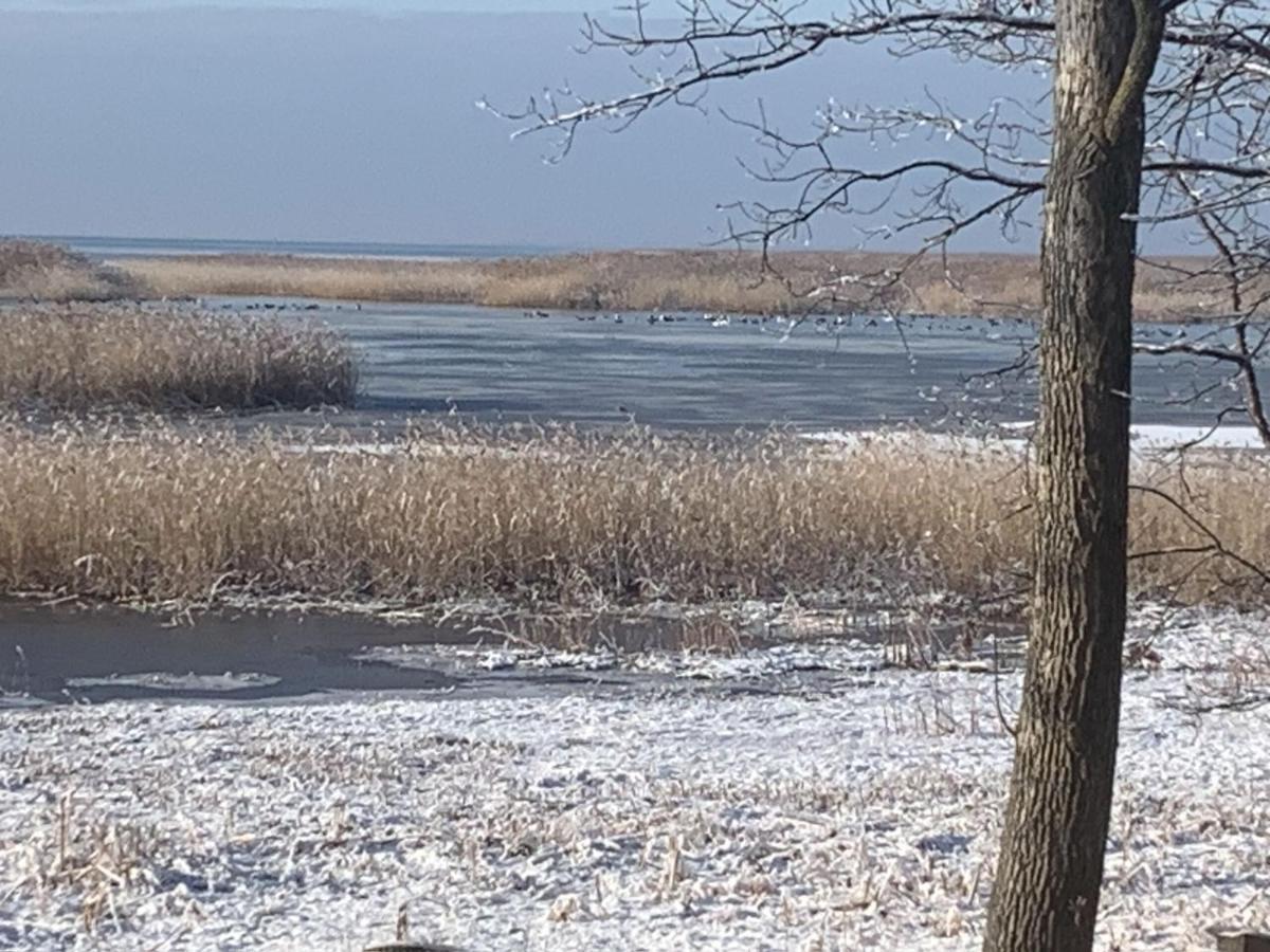 Lakeview & Wildlife Au Gres 外观 照片